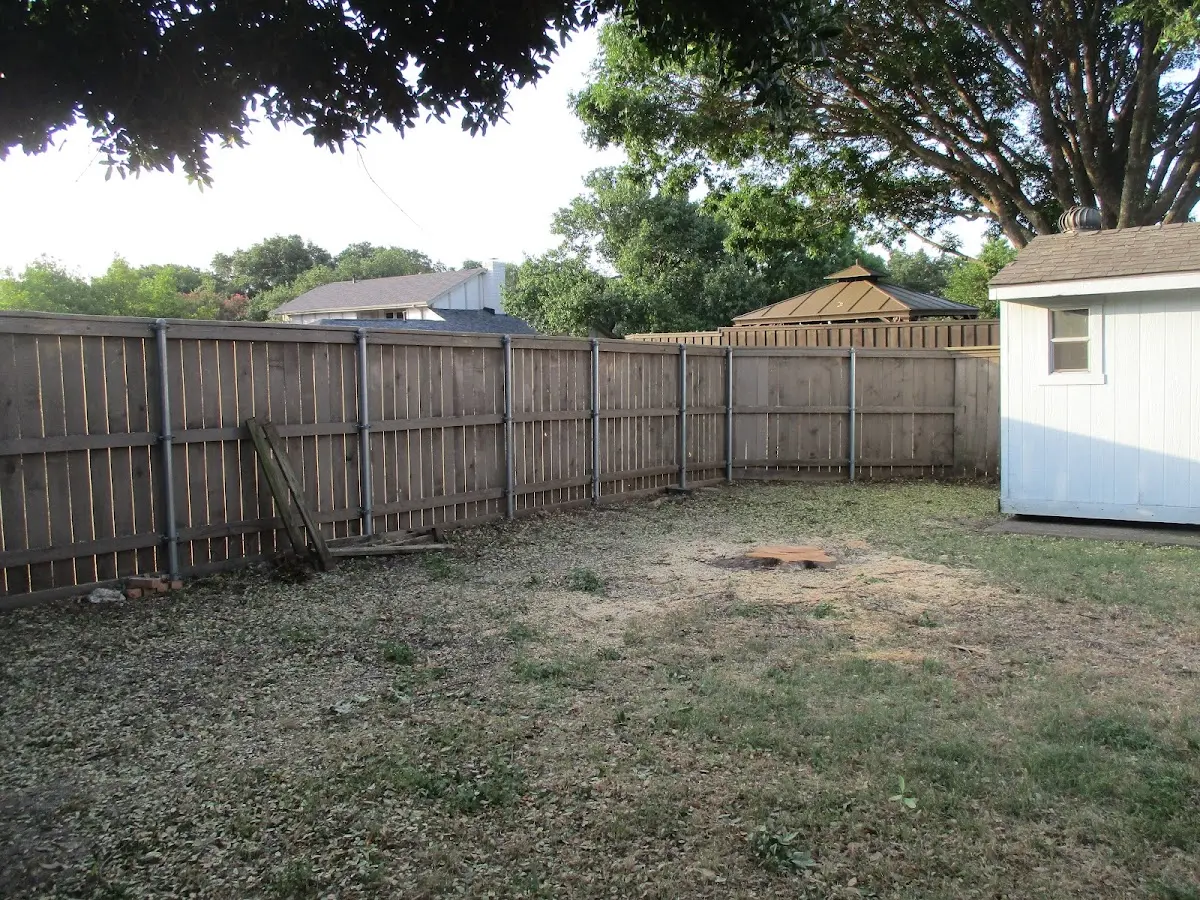 Cleared yard after professional tree removal in Parker Ford
