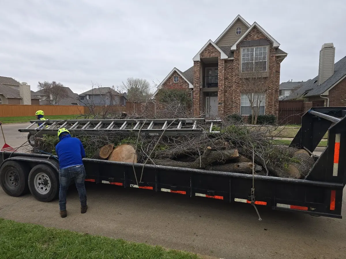 Expert Tree Removal with proper safety equipment in Parker Ford